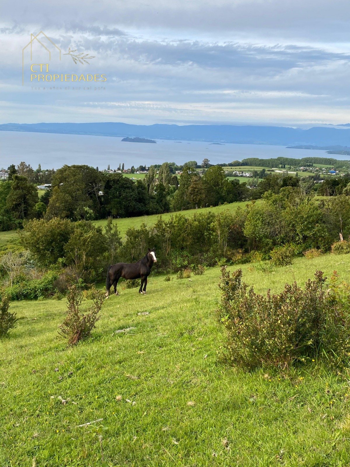 WhatsApp Image 2026-01-29 at 11.21.42 AM